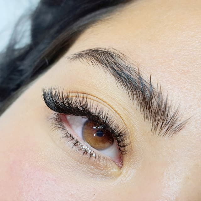 NEW CLIENT Special - Hybrid