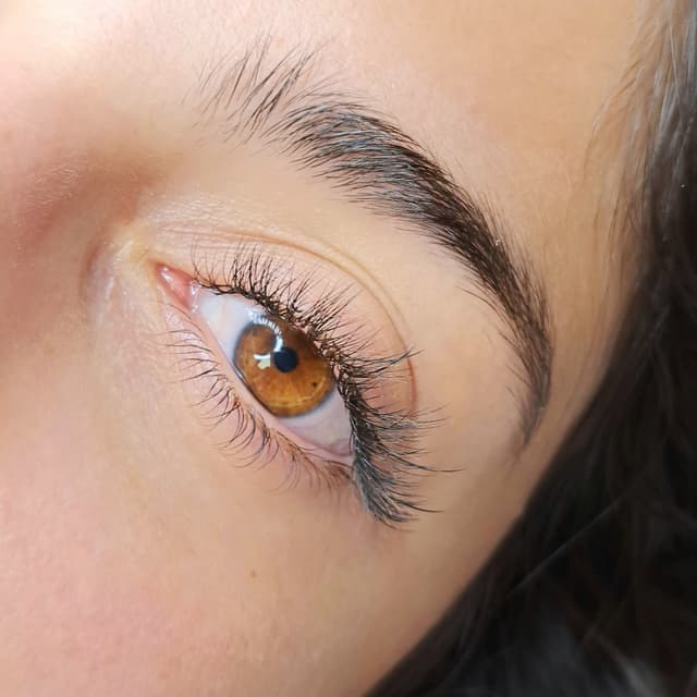 NEW CLIENT Special - Classic