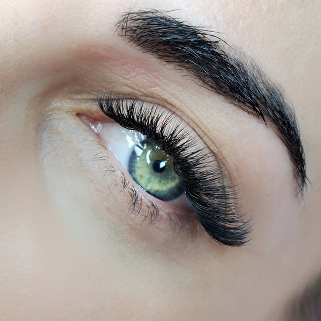 NEW CLIENT Special - Volume