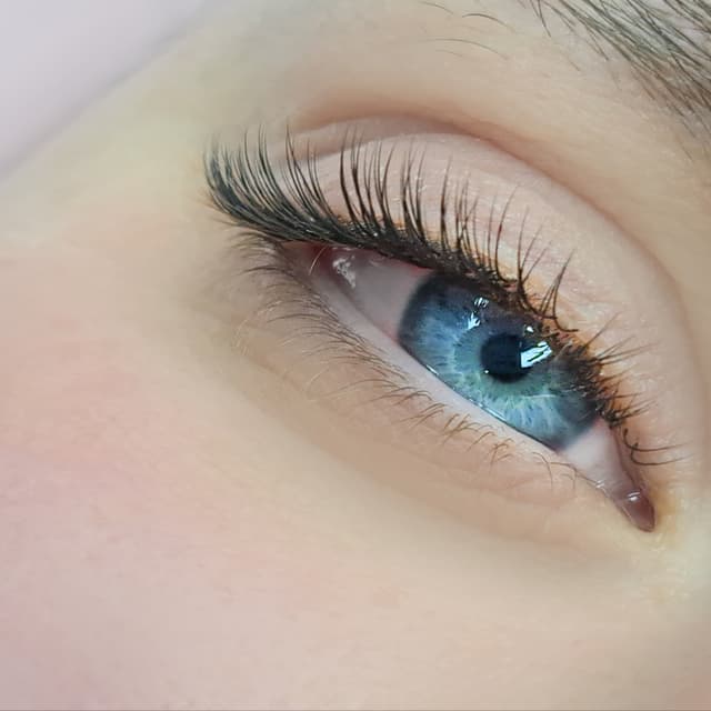 Mobile Classic Lashes Bundle for 3 at LASH | Ashley York Aesthetics in Peoria, AZ